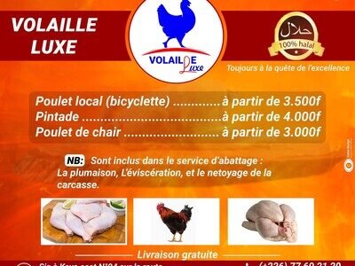 Ferme Avicole Volaille Luxe
