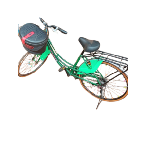 Velo pour adulte