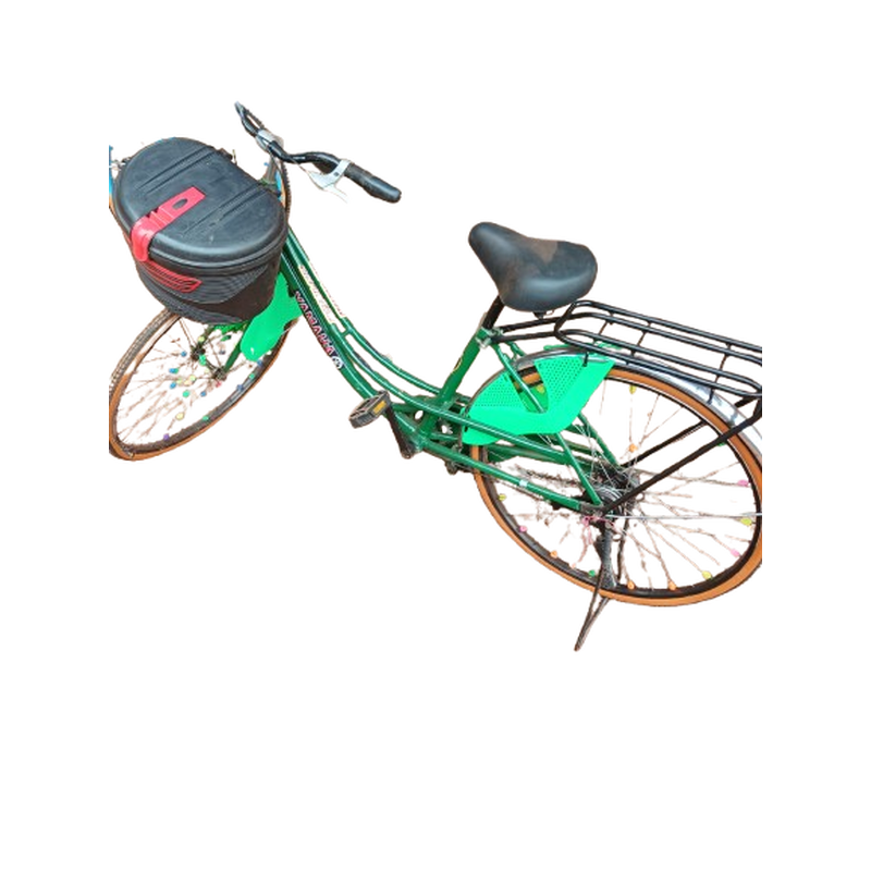 Velo pour adulte