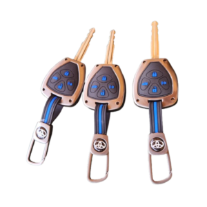 Protéger clé, disponible de toute sorte de véhicule et disponible pour les motos avc commande