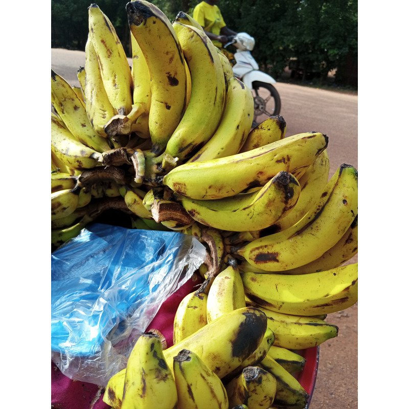 Banane