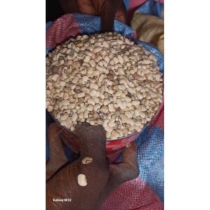 Haricots